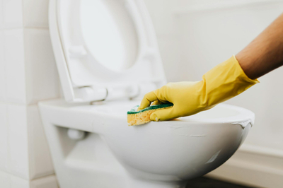Professional cleaning team at work